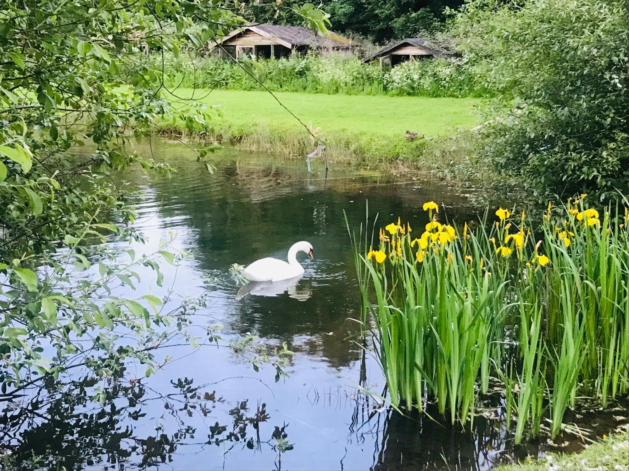Bransford Farm Fishery & B & B Buitenkant foto