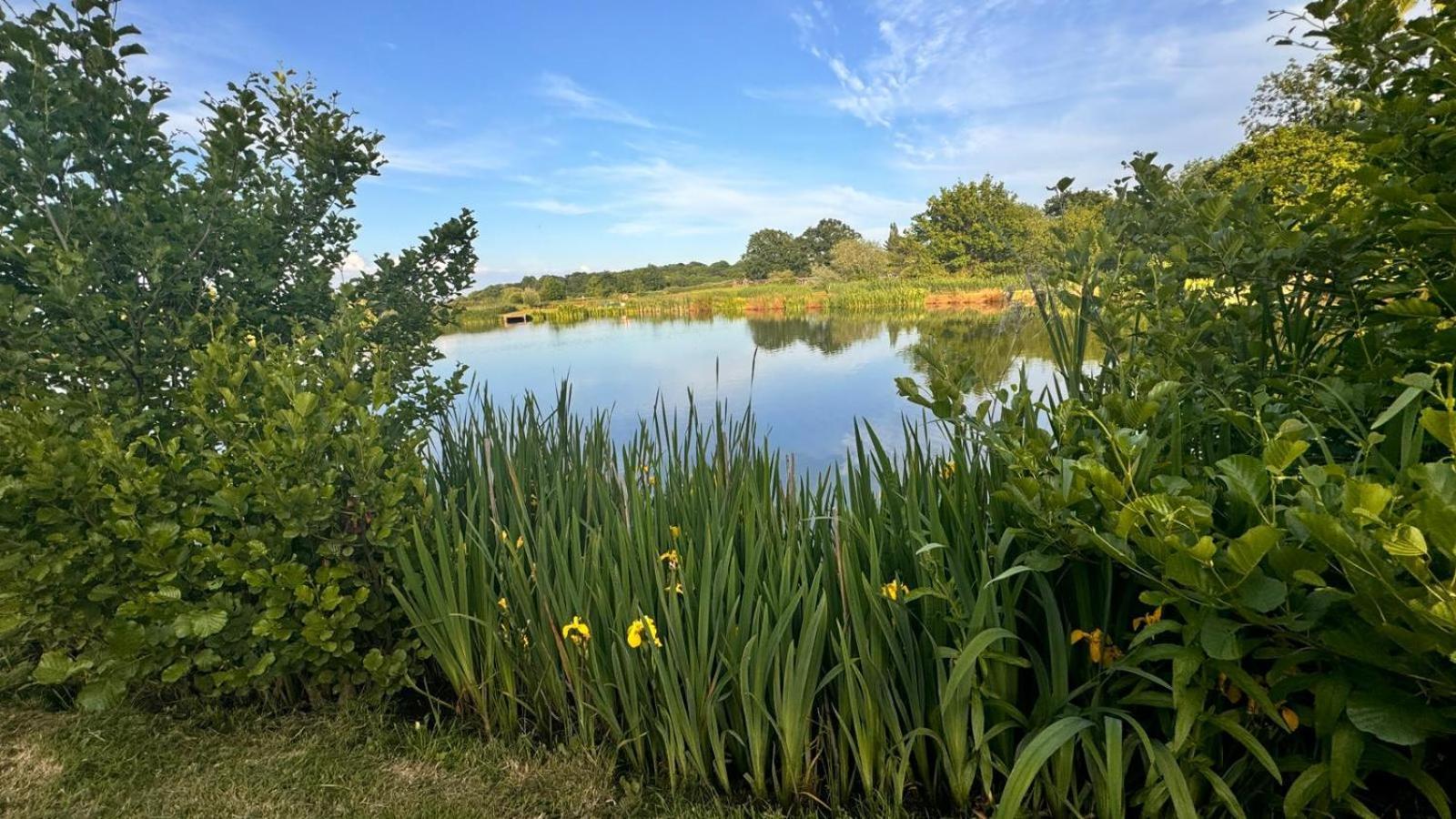 Bransford Farm Fishery & B & B Buitenkant foto